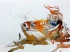gross_e_21