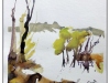 gross-aquarell-3