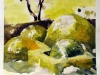 hummelsteiner-park-nuernberg-30x30cm