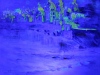 05_edith-gross_Cadiz´2-80x100cm