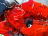 16-gross-edith_Rot-120x100-cm
