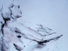 gross-edith_akt_44