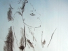 gross-edith_akt_46