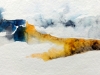 gross_e_aqua_06