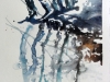 gross_e_aqua_14